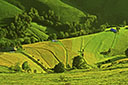 Paysages